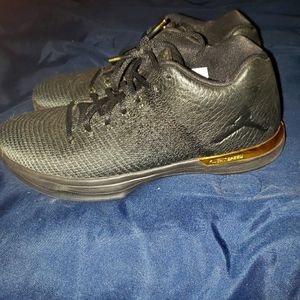 AIir Jordan xxxi low bg
